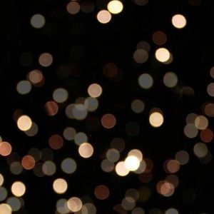 Meet your Posher, Trinity